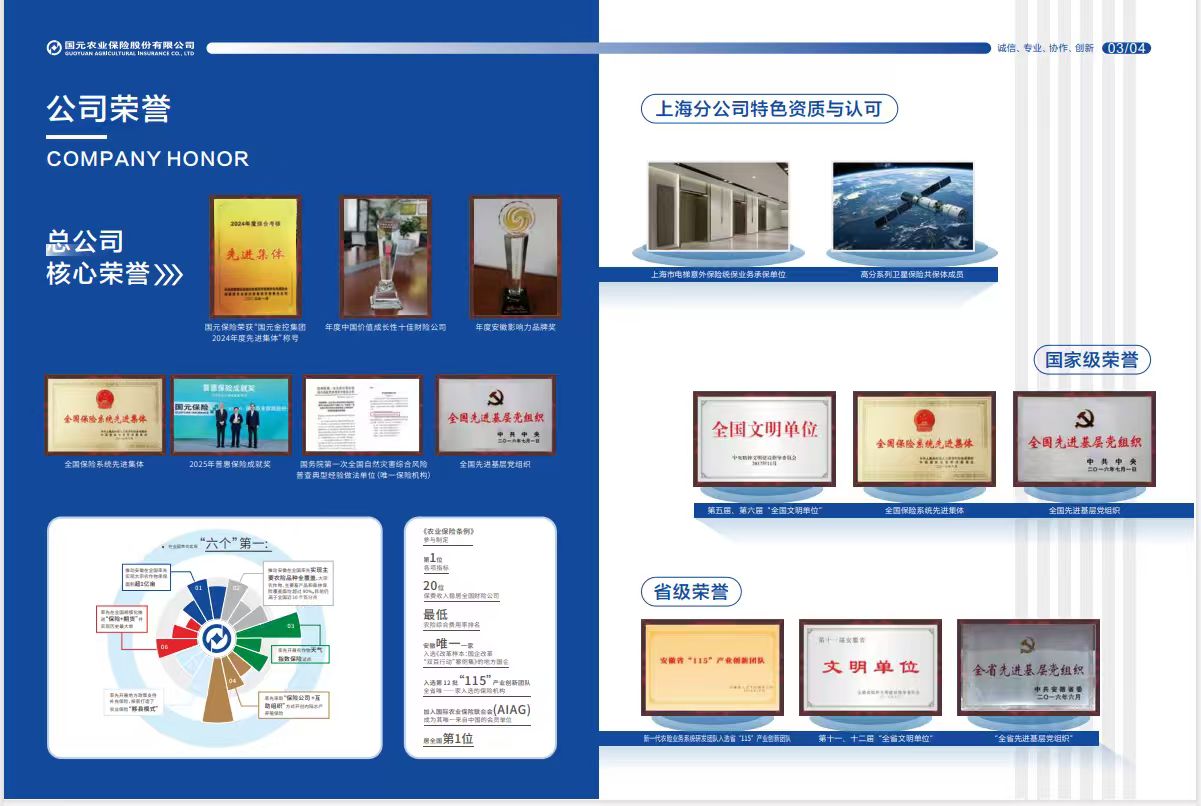 公司荣誉